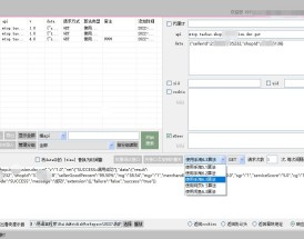 淘数调试器，淘宝系api接口模拟测试工具，同时支持手机端apk和网页接口批量仿真调试
