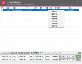 红书单链视频解析器v1.0，小红书单个视频链接解析，无水印视频批量下载